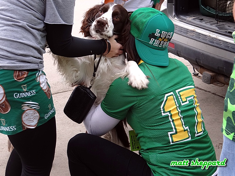 Runnin O' The Green 2016 - More CSi photos by Matt Sheppard at Facebook 